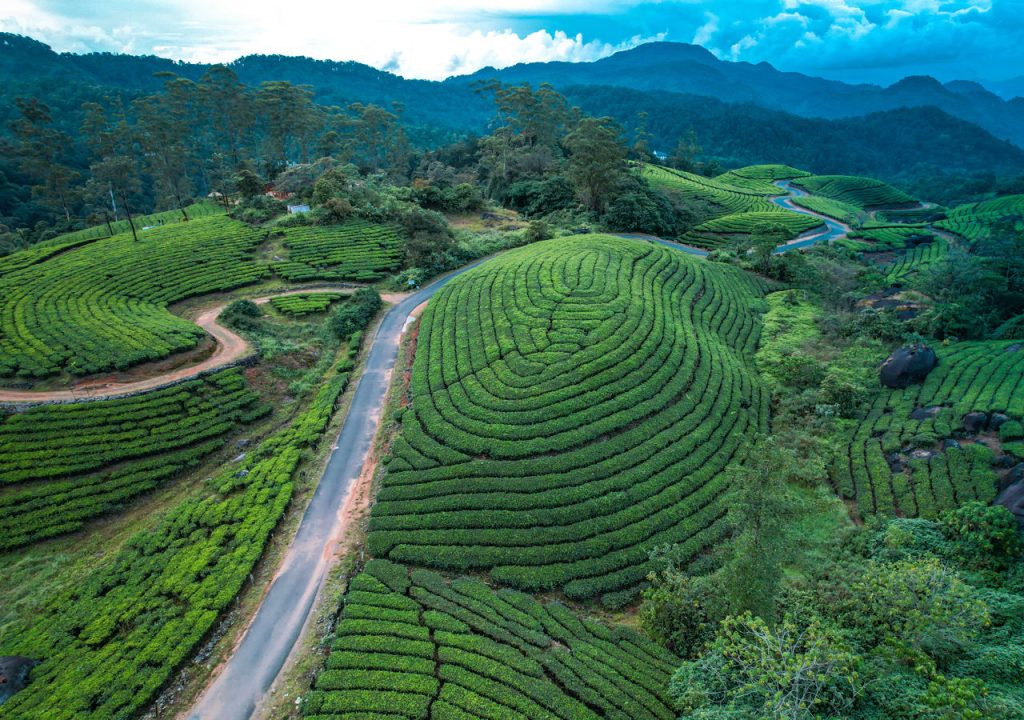Munnar tour package