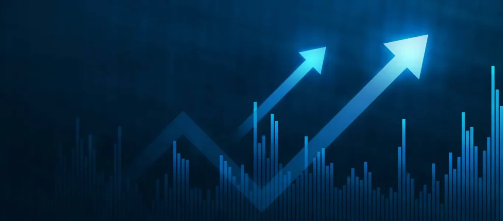  Digital Commerce Solutions.