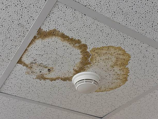 How a Tiny Drip Can Big Problems for Your Home Roof Leak Repair